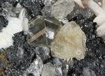 Cerussite Crystals with Bladed Barite on Galena- Morocco #44785-2